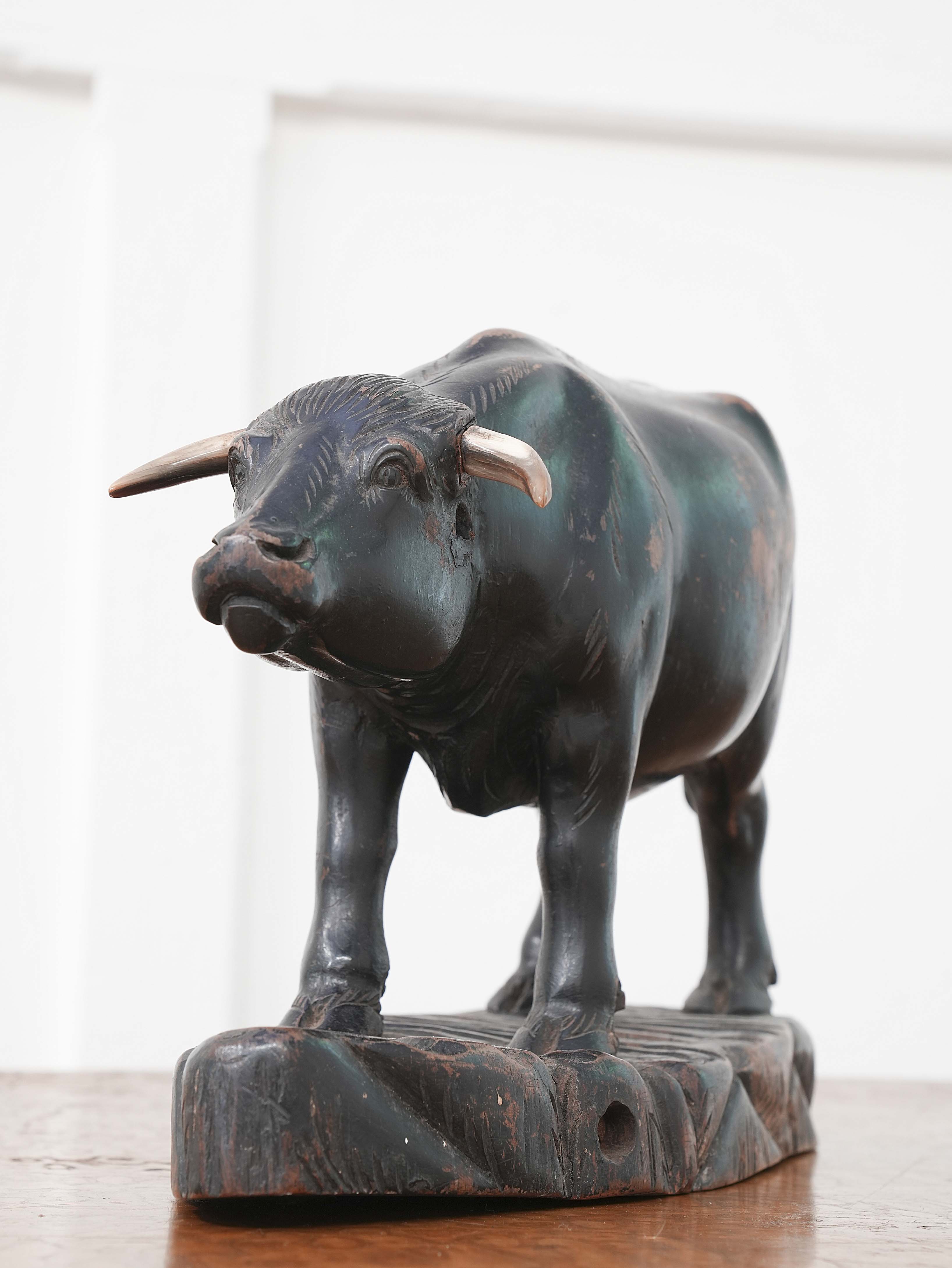 Bull