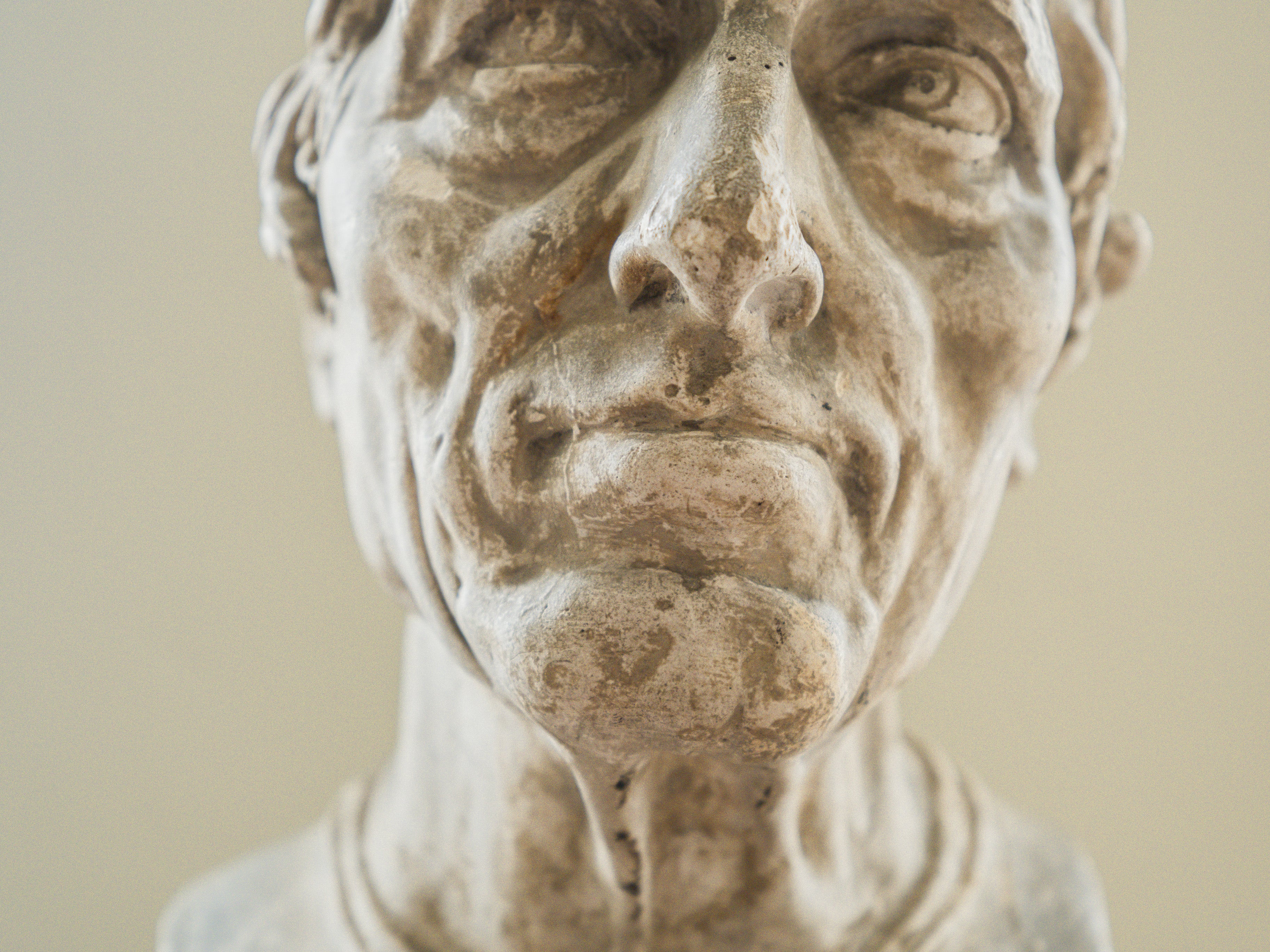 A Brucciani & Co Plaster Bust - Image 13