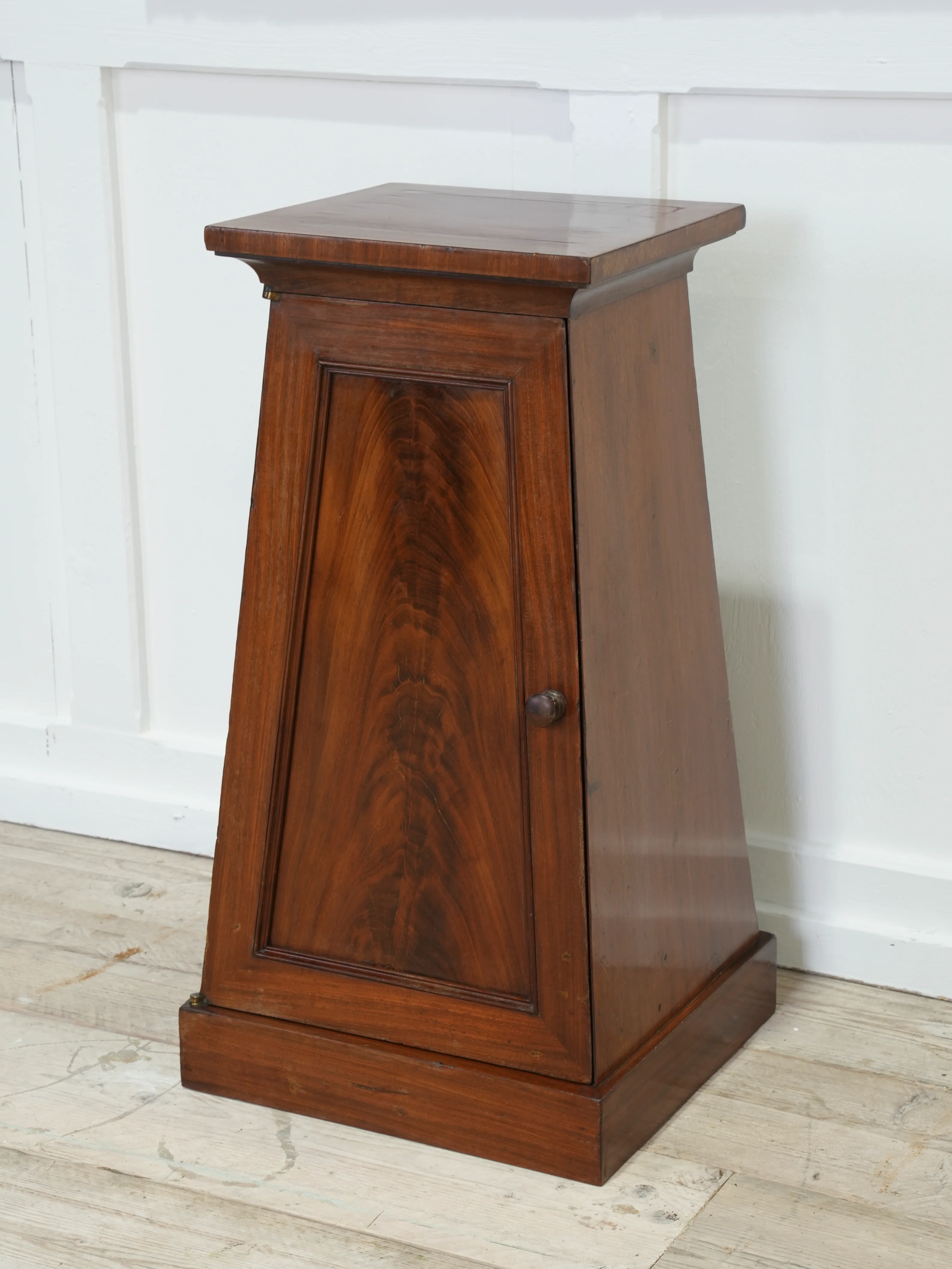 A Regency Mahogany Pedestal Cabinet - Image 3
