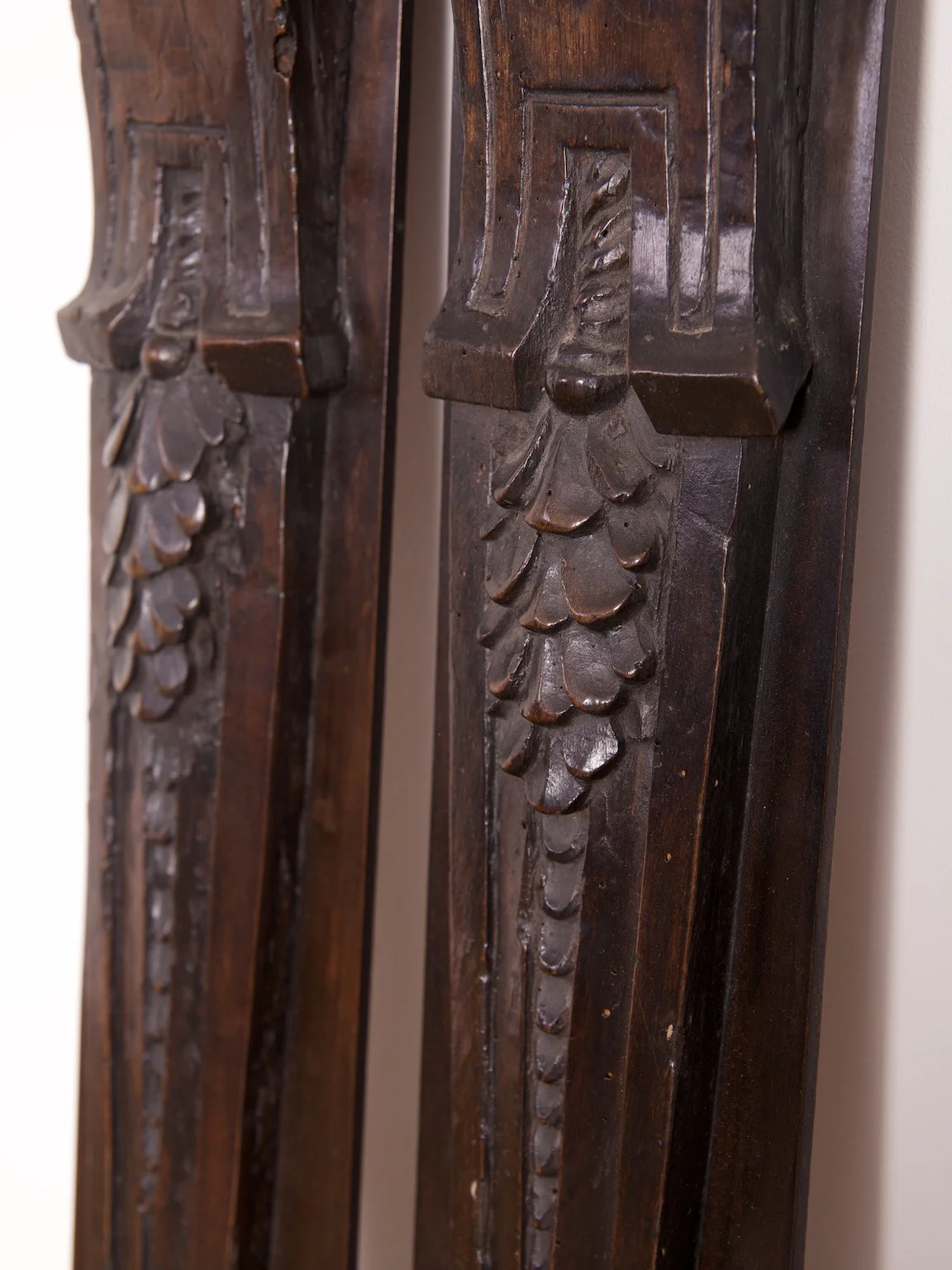 Early Oak Termes - Image 6