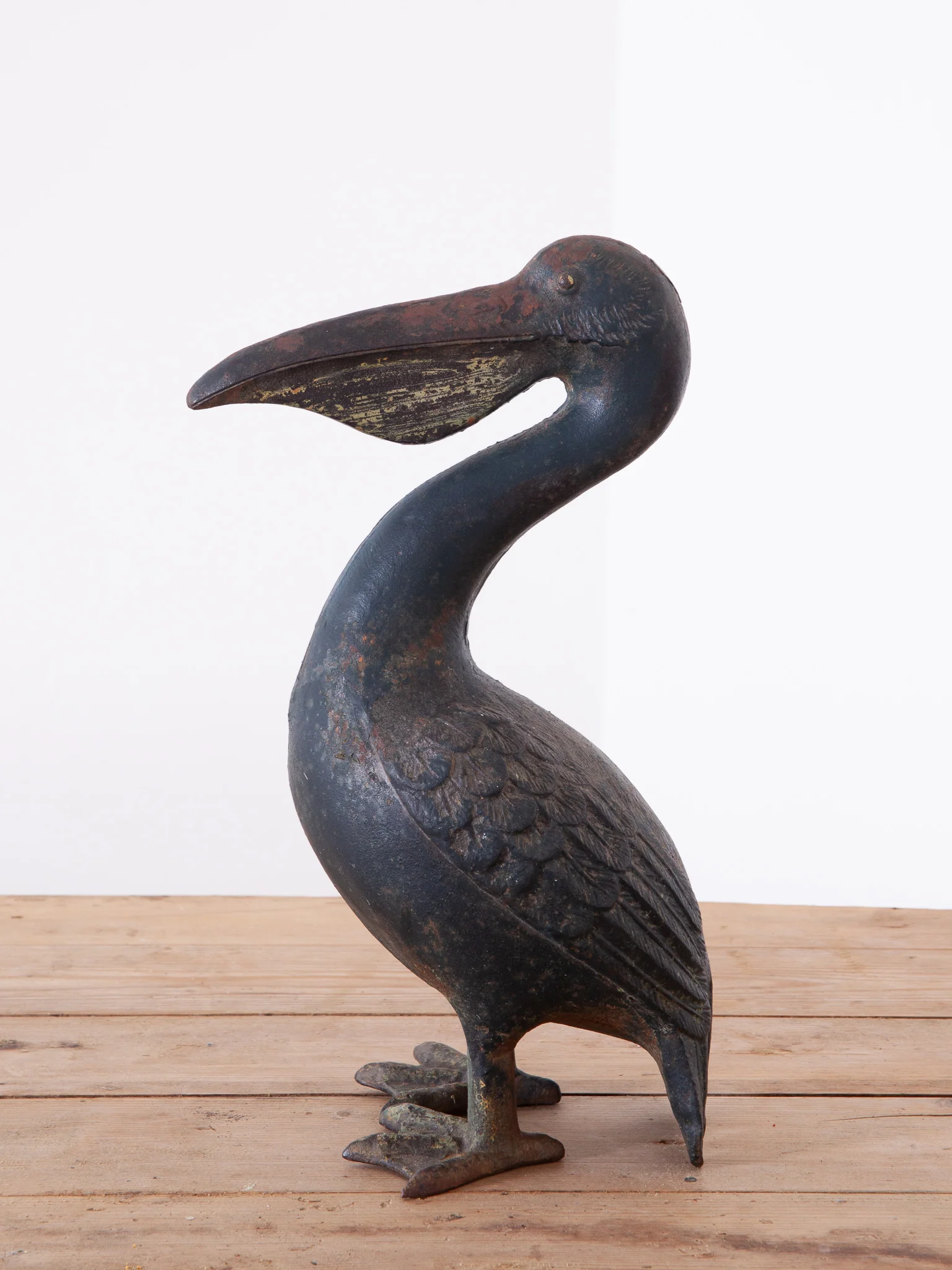 Pelican