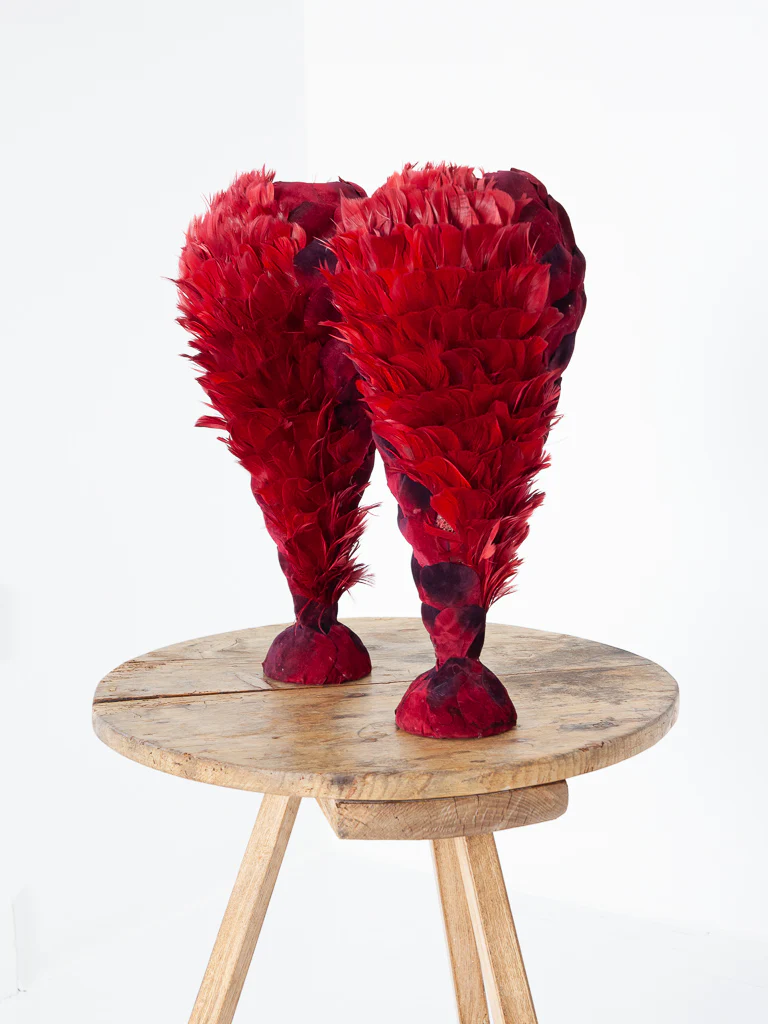 Plumes - Image 2