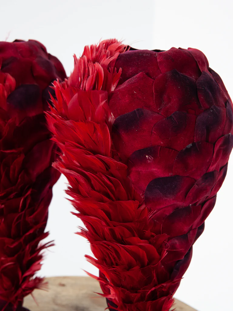 Plumes - Image 4