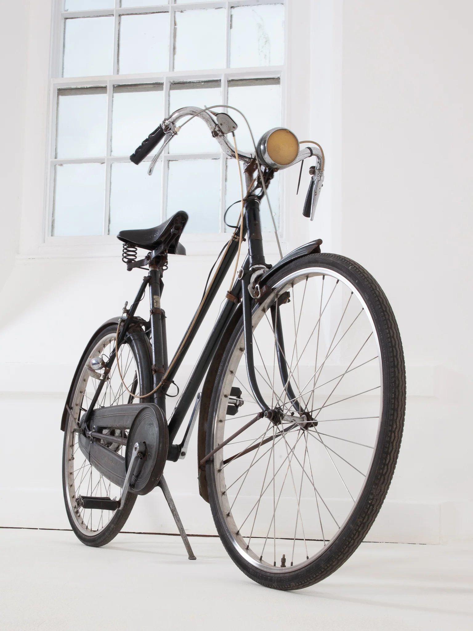 Raleigh Bike