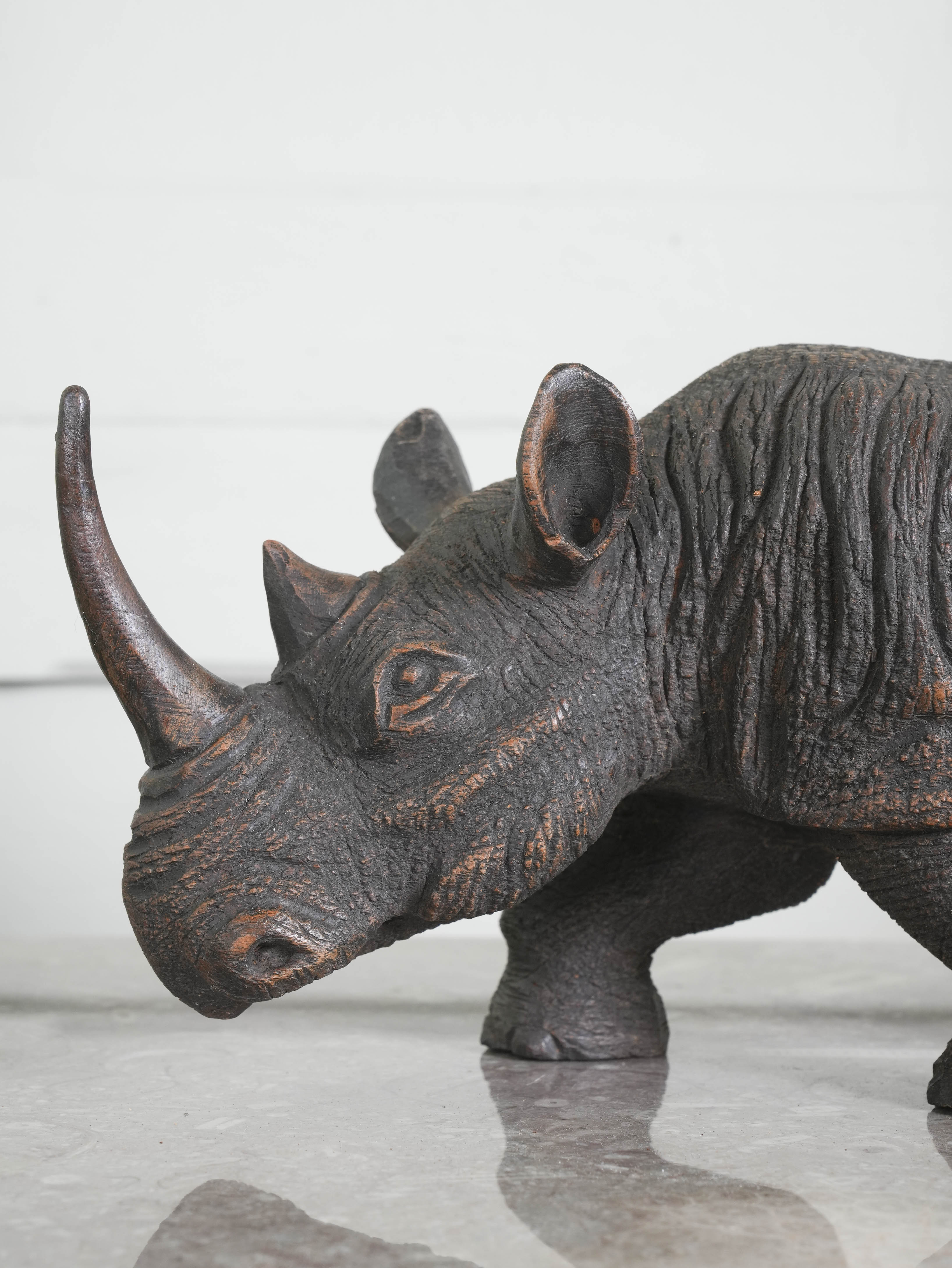 African Rhino - Image 7