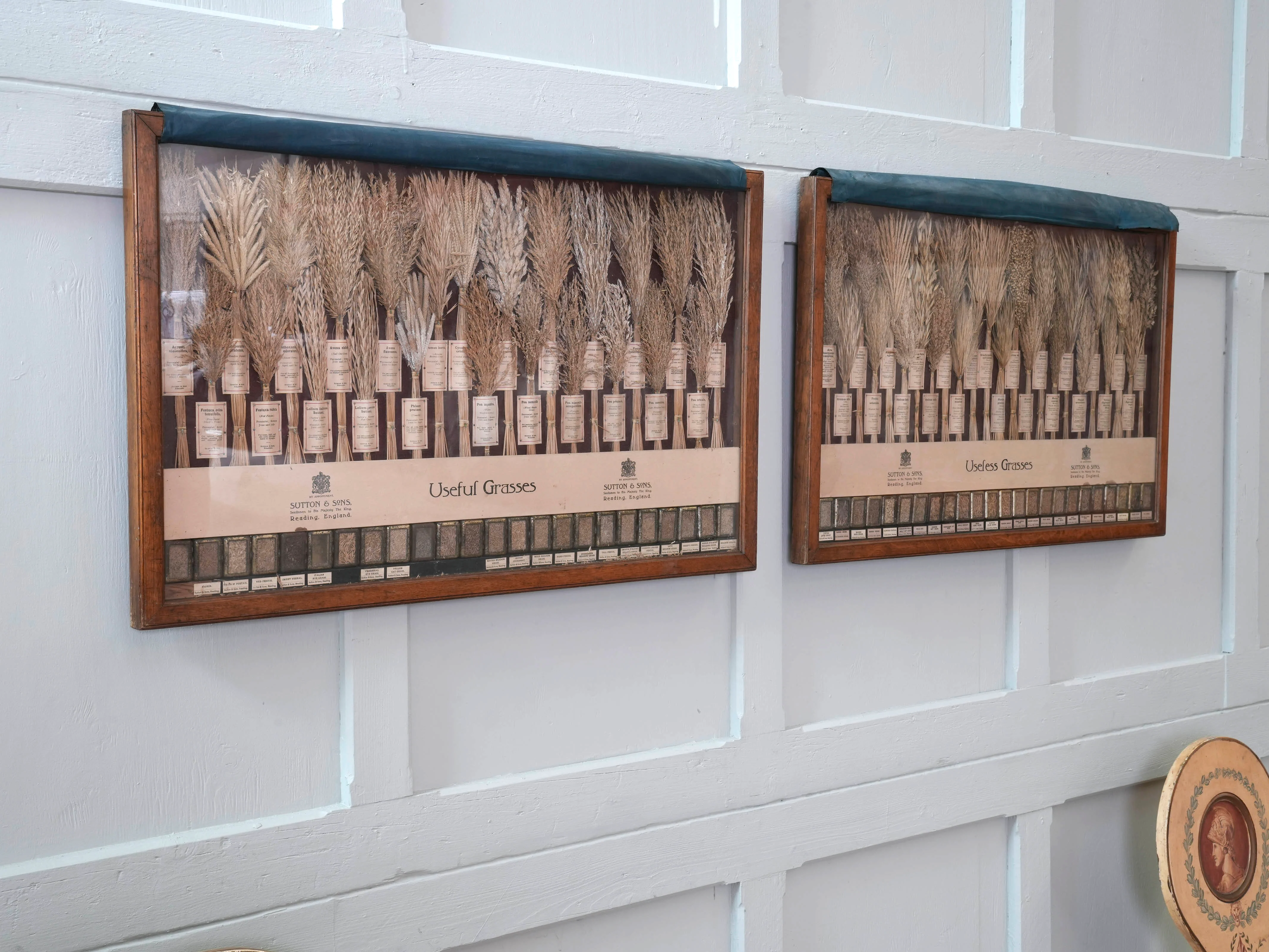 Suttons “Useful” Grasses & “Useless” Grasses Samplers - Image 5